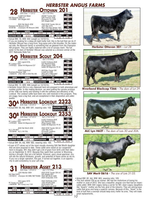 click here for our 2013 bull sale catalog - Herbster Angus Farms