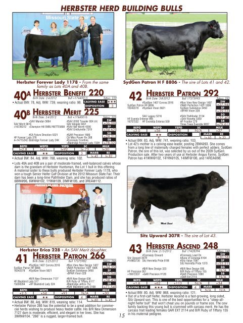 click here for our 2013 bull sale catalog - Herbster Angus Farms