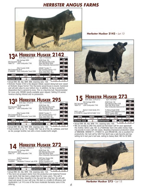 click here for our 2013 bull sale catalog - Herbster Angus Farms