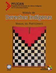 Derechos Indígenas Derechos Indígenas - Fondo Indígena