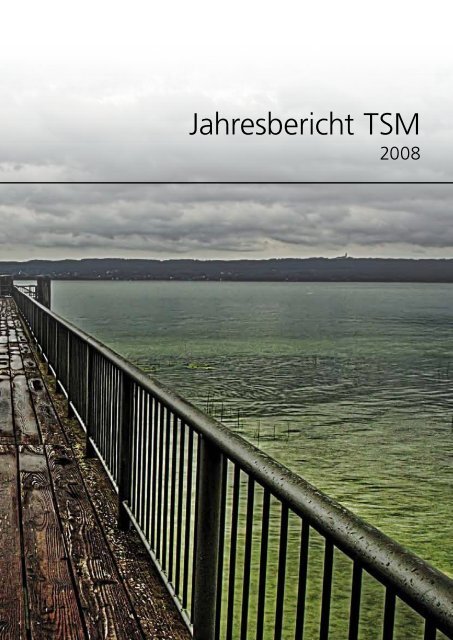Jahresbericht TSM - TSM Treuhand GmbH