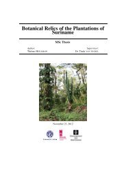 T. Heilbron 2012.Botanical relics of the plantations - osodresie