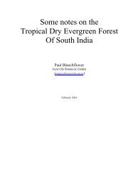 Some notes on the Tropical Dry Evergreen Forest Of South India