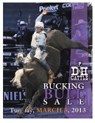 Download D&H Sale Catalog Here! - D&H Cattle Company