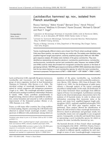 Lactobacillus hammesii sp. nov., isolated from French sourdough