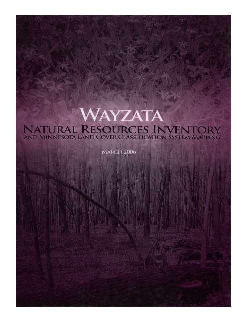 Wayzata - Hennepin County, Minnesota