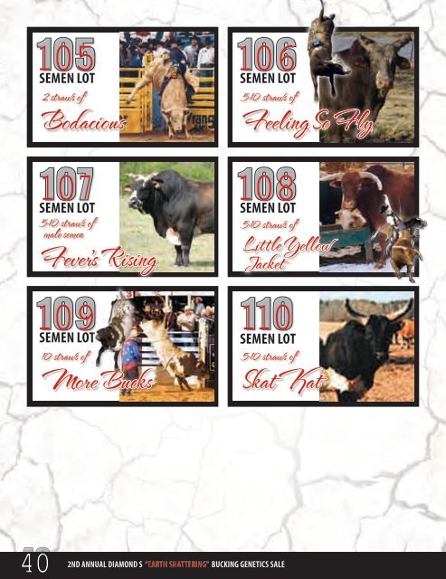 Semen lot - Diamond S Bucking Bulls