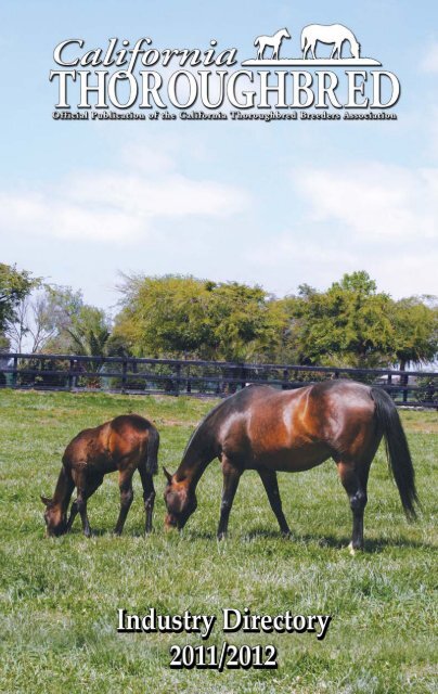 Innovation at Alamo Pintado Equine Medical Center