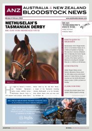 new zealand bloodstock news anz - Anzbloodstocknews.com