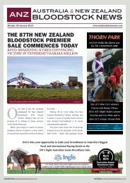 The 87th new zealand bloodstock premier sale commences