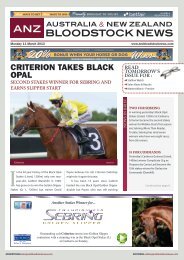 new zealand bloodstock news anz - Anzbloodstocknews.com