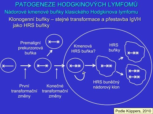 Patogeneze Hodgkinova lymfomu z pohledu patologa a klasifikace