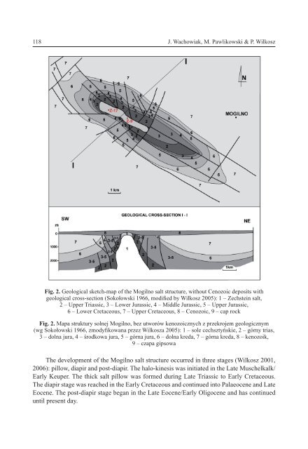 Geologia 38-2.indd - AGH