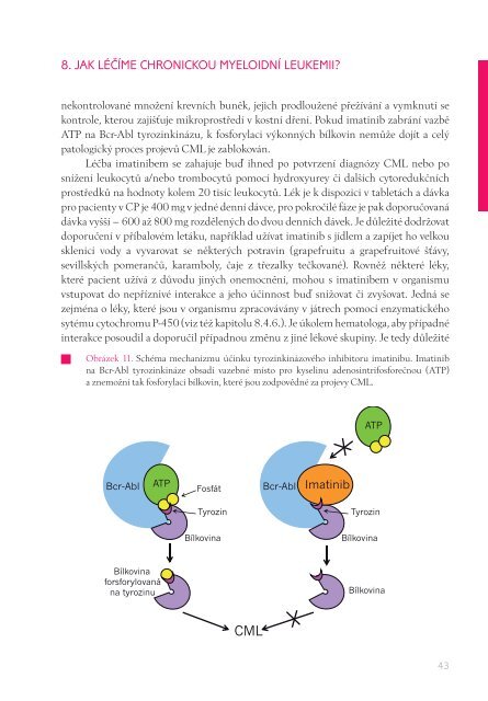 CHRONICKÁ MYELOIDNÍ LEUKEMIE - European Leukemia Net