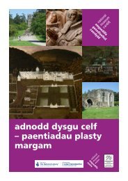 Clicio yma i lawrlwytho'r PDF [2.5 MB - Amgueddfa Cymru