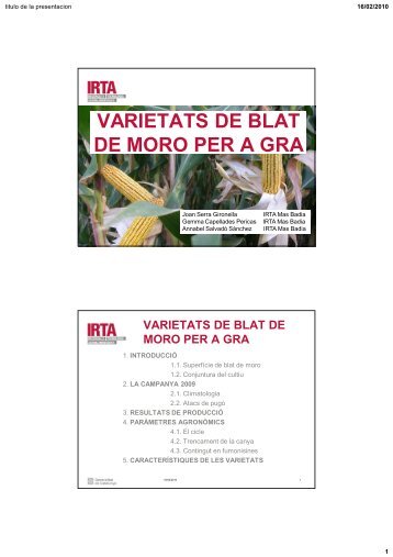 VARIETATS DE BLAT DE MORO PER A GRA - RuralCat