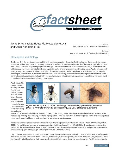 Pork Insect Swine Ectoparasites - Pork Information Gateway