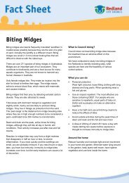 Biting midges - Redland City Council
