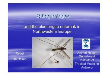 Biting midges and the bluetongue outbreak in Northwestern - BWDS