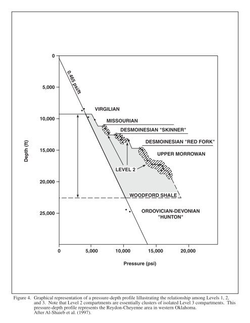 Final Report - National Energy Technology Laboratory - U.S. ...