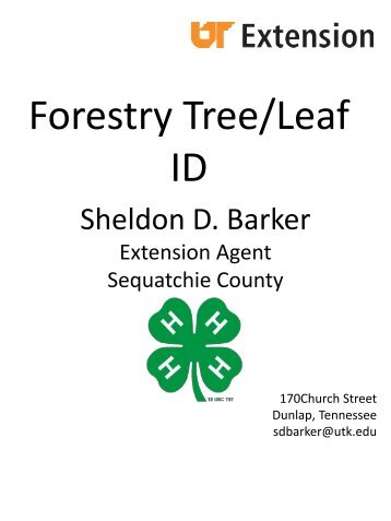 Forestry Tree/Leaf ID - UT Extension - The University of Tennessee