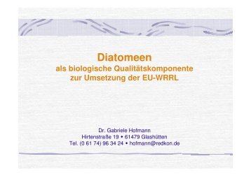 Vortrag 4 (9,3 MB): "Die Diatomeen (Phytobenthos