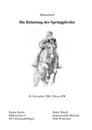 Die Belastung des Springpferdes - NGW