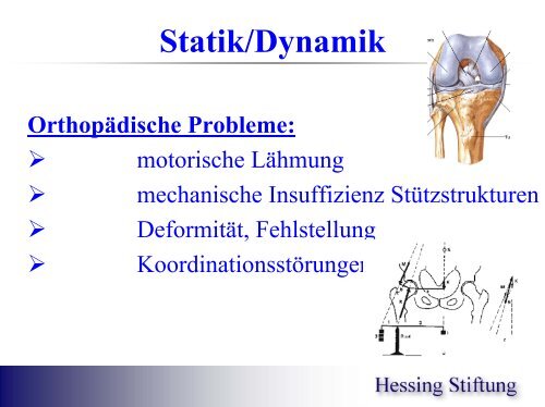 Gelenke, Gelenkmechanik, Steuerung