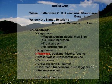 Grünland