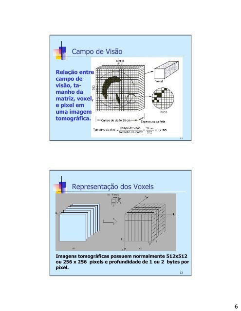 Princípios Básicos