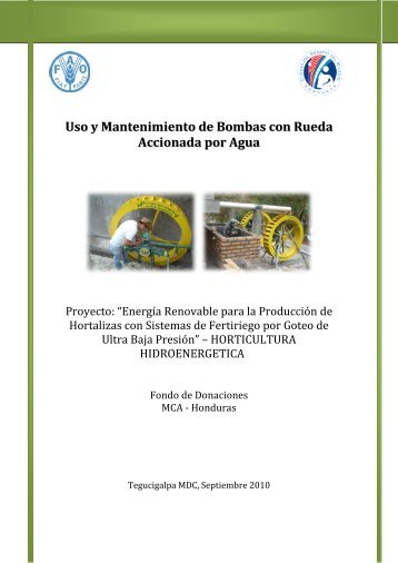 Uso y Mantenimiento de Bombas con Rueda Accionada ... - PACTA