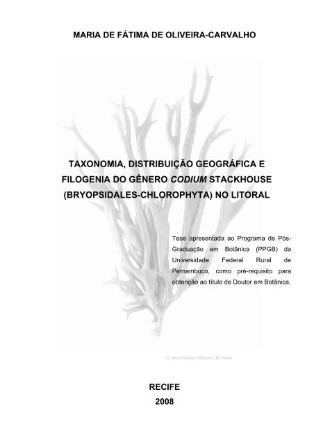 Taxonomia, distribuição geográfica e filogenia do gênero Codium