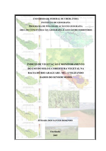 índices de vegetação e monitoramento do uso do solo e cobertura ...