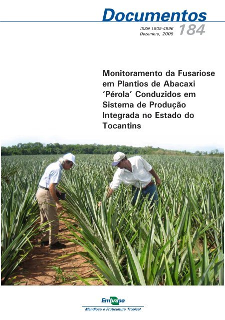 Monitoramento da fusariose em plantios de abacaxi perola