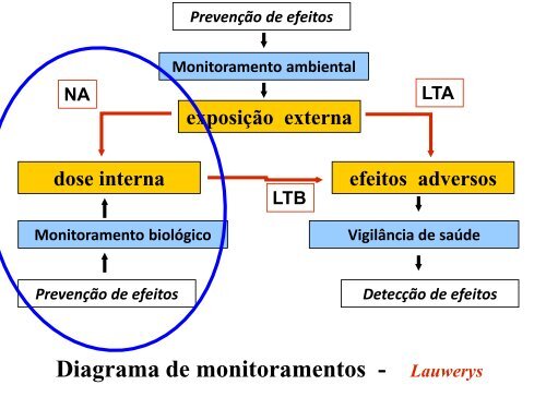 Monitoramento biológico para avaliação de risco ocupacional: da ...