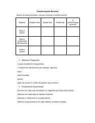 Transformações Químicas Roteiro de experimentação ... - gpquae