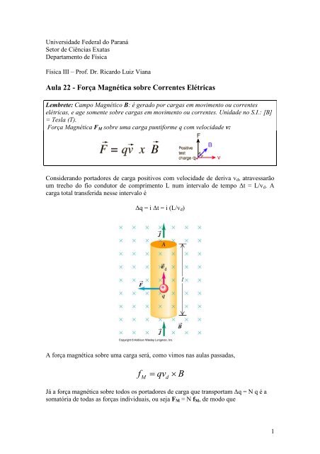 B qv F - Departamento de Física - Universidade Federal do Paraná