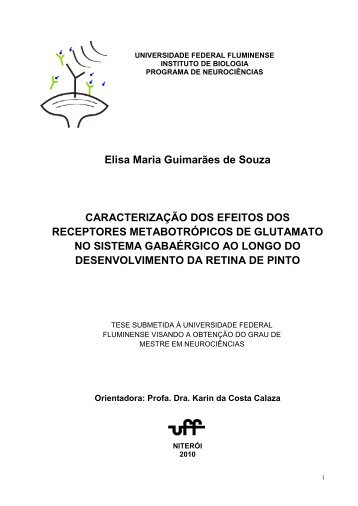 Elisa Maria Guimarães de Souza CARACTERIZAÇÃO DOS ... - UFF