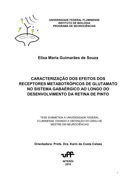 Elisa Maria Guimarães De Souza CARACTERIZAÇÃO DOS. - UFF