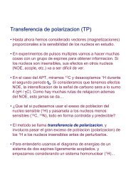 Transferencia de polarizacion (TP)