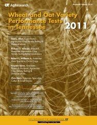 Wheat and Oat Variety Performance Tests in Tennessee