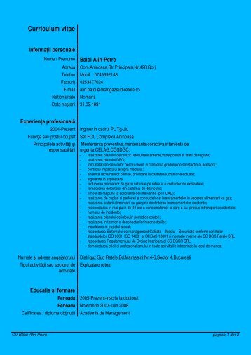 Curriculum vitae Europass - Universitatea Petrol - Gaze din Ploiesti