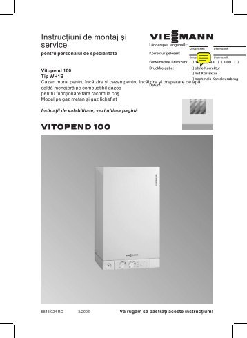 Vitopend 100 WH1B - Centrala termica