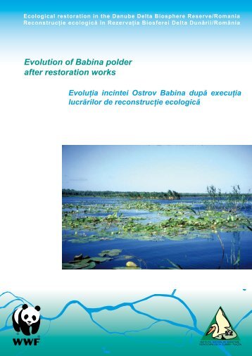 Evolution of Babina polder after restoration works - River Wiki ...