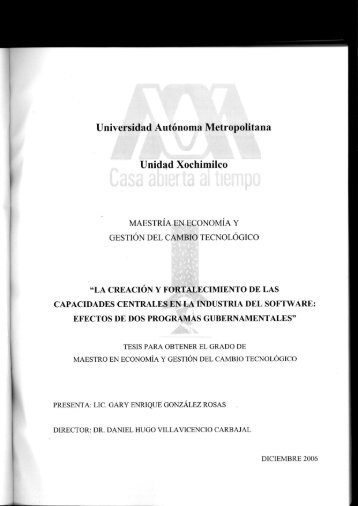 La Creación y Fortalecimiento de las Capacidades Centrales en la ...