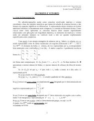 matrizes e vetores - Programa de Engenharia Química - COPPE ...