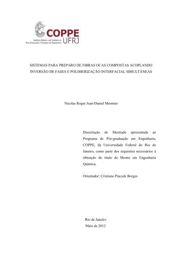 IV.1.2 Fibras Ocas - UFRJ