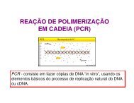 REAÇÃO DE POLIMERIZAÇÃO EM CADEIA (PCR)