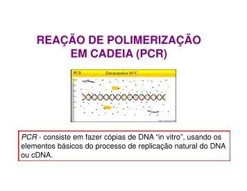 REAÇÃO DE POLIMERIZAÇÃO EM CADEIA (PCR)