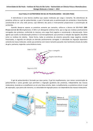 Ciências Físicas e Biomoleculares - IFSC/USP - Laboratório de ...